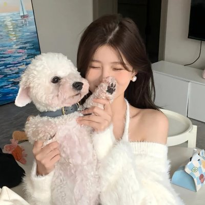 龙之信条